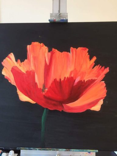 Felgekleurde bloem met oranje en rode tinten op een zwarte achtergrond.